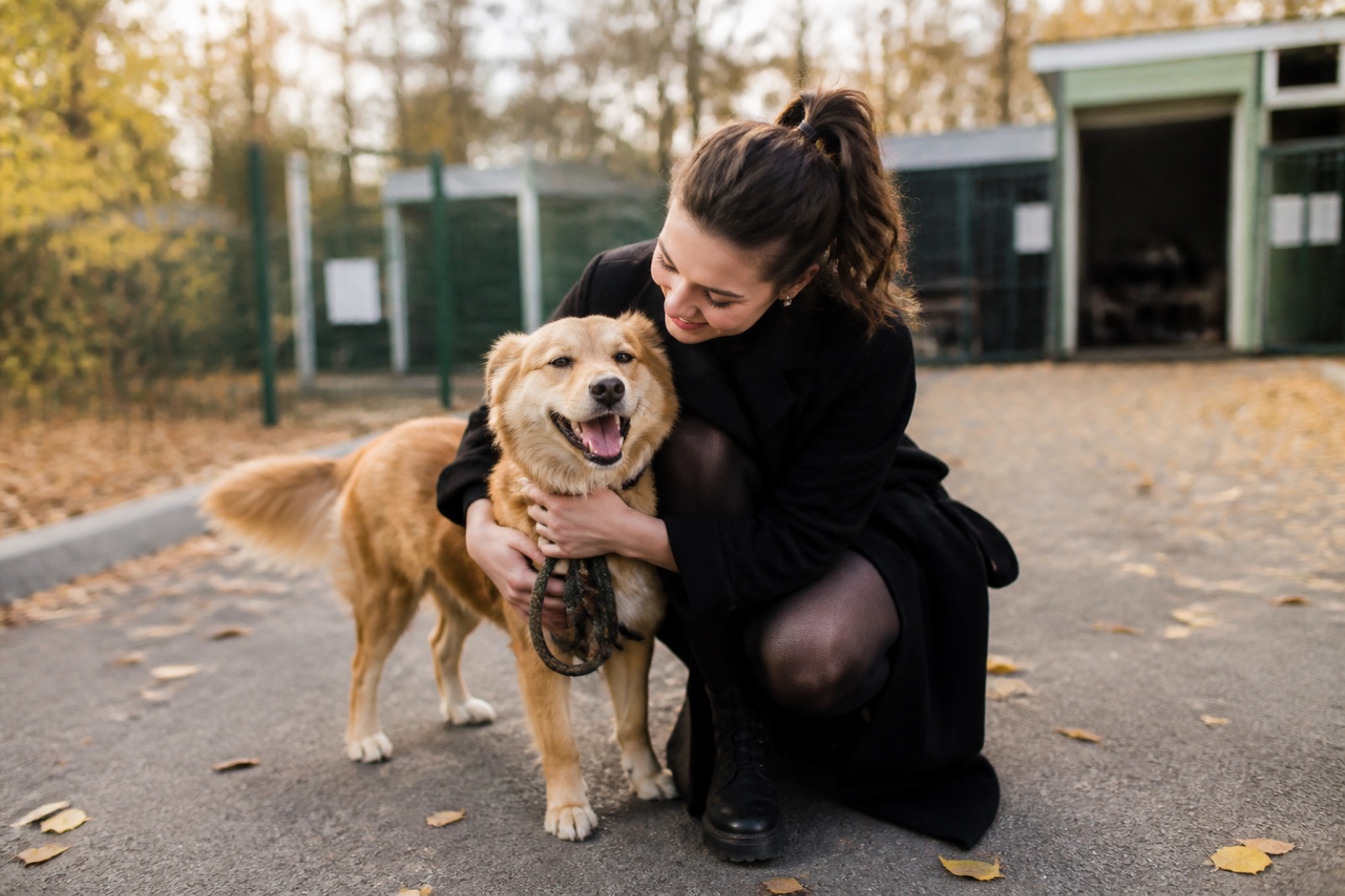 Elegant woman embracing a rescued dog outside an animal shelter